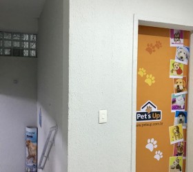 Clínica - Foto 4