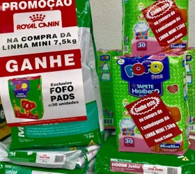 Pet Shop - Foto 30