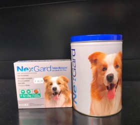 Pet Shop - Foto 36