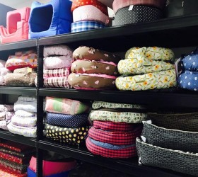 Pet Shop - Foto 9