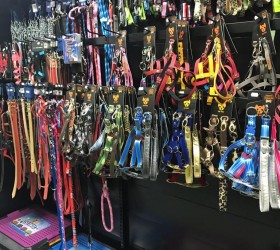 Pet Shop - Foto 26
