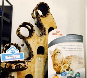 Pet Shop - Foto 28