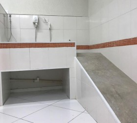 Banho e Tosa - Foto 1