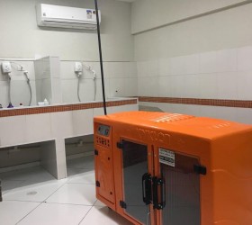 Banho e Tosa - Foto 2